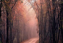 世界杯外围 -今晚客场挑战上届冠军，武汉三镇仍需全力拼搏