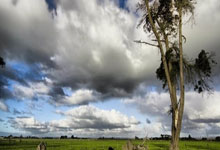 世界杯外围 -今晚客场挑战上届冠军，武汉三镇仍需全力拼搏