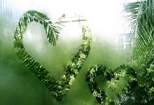 世界杯外围 -今晚客场挑战上届冠军，武汉三镇仍需全力拼搏